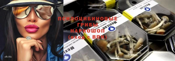 МДПВ Богданович