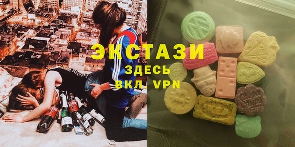 ECSTASY Ельня