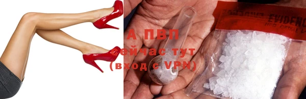 бошки Бородино