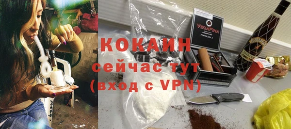 бошки Бородино