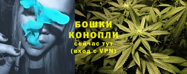 хмурый Богородск