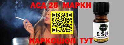 шишки Аргун