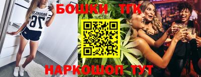 шишки Аргун