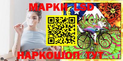 эйфоретик Берёзовский