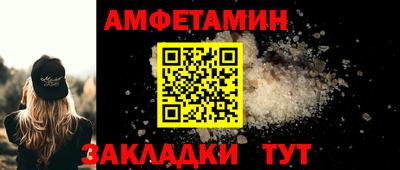 кокс Гатчина
