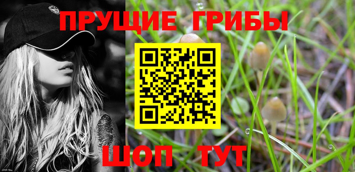Псилоцибиновые грибы Cubensis Верхний Уфалей