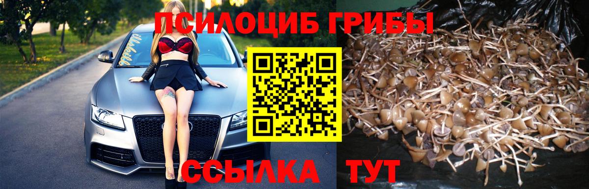 Галлюциногенные грибы Cubensis Верхний Уфалей