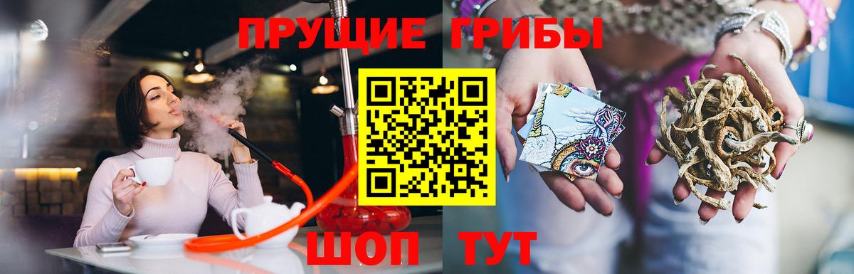 Псилоцибиновые грибы мицелий  Верхний Уфалей 